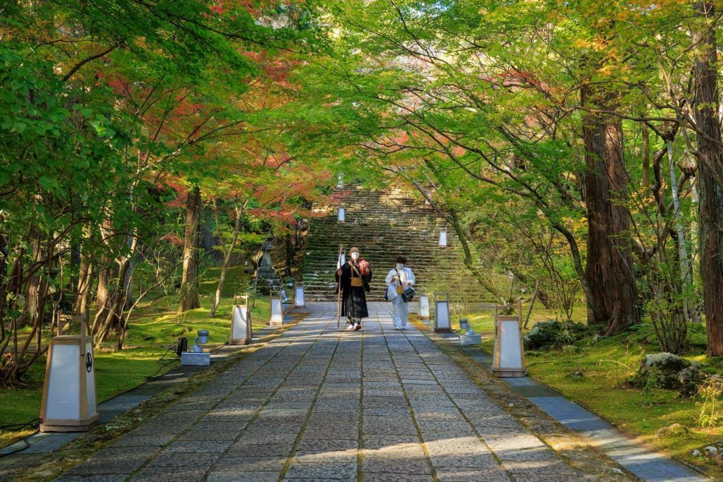 🏯 나라를 지키는 절 (칭코쿠지) 이미지 8